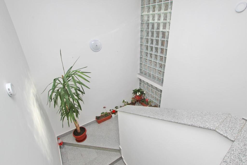 Imas Apartment Sarajevo Buitenkant foto